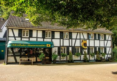 Tour Zu Fuß Odenthal - Odenthal Rundweg A4 - Photo