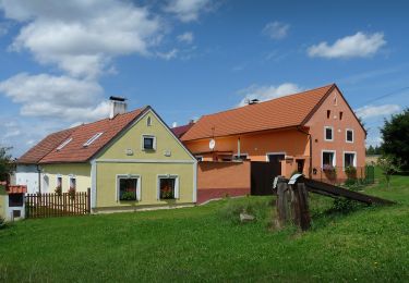 Excursión A pie Nová Ves - Vidov - Hůrka - Photo