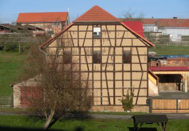 Tour Zu Fuß Uhlstädt-Kirchhasel - Gelber Strich Kirchhasel-Teichweiden - Photo