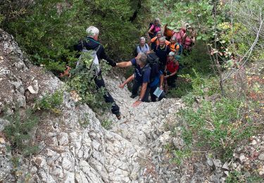 Excursión Senderismo La Roque-d'Anthéron - PF-La Roque d'Anthéron - Parcours évaluation BF FFrandonnée - Photo