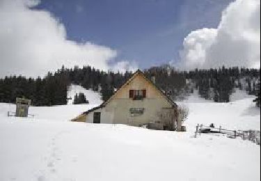 Trail Snowshoes Engins - telesiege la quoi raquette le feneys - Photo