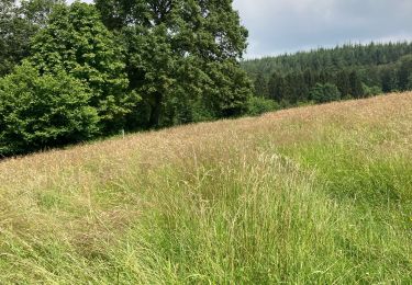 Tour Wandern Stoumont - Traversée trou de bras - Photo