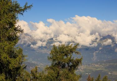 Tocht Te voet Chalais - La Lé-refuge du Bisse - Photo