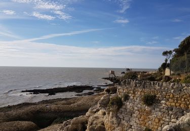 Excursión Senderismo Saint-Palais-sur-Mer - ST PALLAIS  LA GRANDE COTE - Photo