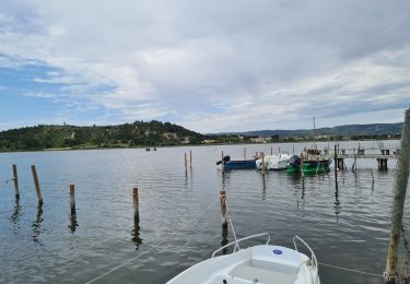 Randonnée V.T.T. Port-la-Nouvelle - Boucle de Bages d Aude  - Photo