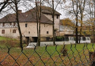 Tocht Stappen Saint-Parres-aux-Tertres - St parres - Photo