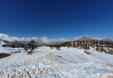 Randonnée Raquettes à neige Puy-Saint-Vincent - les têtes - Photo