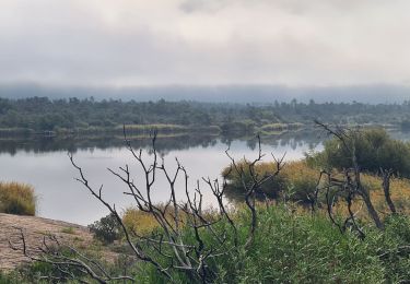 Trail Walking Le Cannet-des-Maures - Le Cannet des Maures - lac des escarcets - Photo