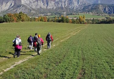 Tour Wandern Sigoyer - Sigoyer Les Baudes - Photo