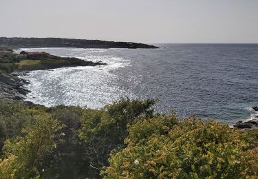 Trail Walking Lumio - Sant Ambrogio Algagiola - Photo