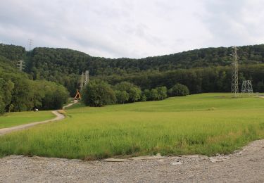 Percorso A piedi Dettingen an der Erms - blaues Dreieck Dettingen - Glems - Photo