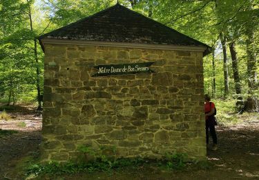 Tocht Te voet Saint-Hubert - POIX Saint-Hubert ... la vallée de la Lomme, Lhomme ou L'Homme !  - Photo