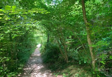 Excursión Senderismo Amfreville-sur-Iton - Les sentiers de laiton - Photo