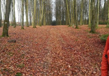 Tour Wandern La Roche-en-Ardenne - maboge - Photo