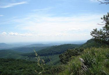 Randonnée A pied Miskolc - K+ (Bánkút - Őr-kő-rét) - Photo