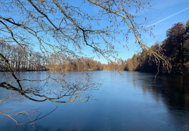 Trail On foot Leutershausen - Eichhörnchenweg Leutershausen - Photo