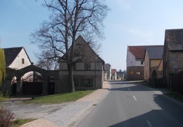 Tour Zu Fuß Droyßig - Rundweg Hassel-Droyßig - Photo