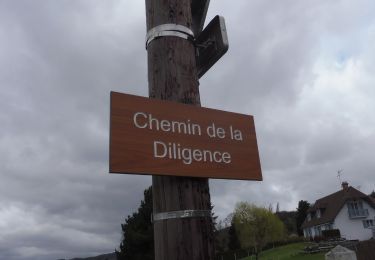 Trail Walking Saint-Martin-de-Boscherville - 20200227-Boscherville - Photo