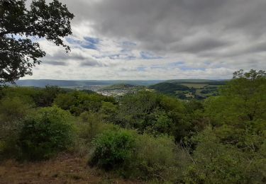 Tocht Stappen Viroinval - Mazée - Najauge - Réserve naturelle de Vireux-Molhain - Photo