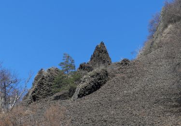 Trail Walking Pranles - 2025-02-14_16h55m14_Volcan Chirouze 12km - Photo