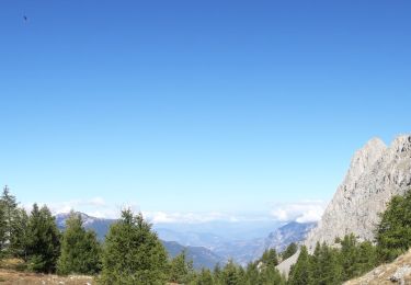 Tocht Stappen Méolans-Revel - Boucle Col des Terres Blanches - Croix Chateau Renard 20/09/19 - Photo