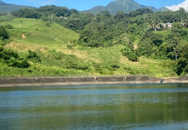 Tour Pfad Capesterre-Belle-Eau - Le Barrage  - Photo