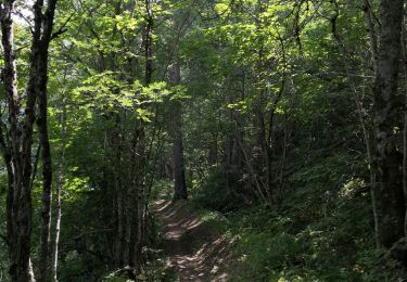 Excursión Senderismo Puy-Saint-Vincent - Le Villaret La combe noire - Photo