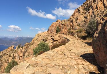 Tour Wandern Piana - Calanques piana les roches bleues  - Photo