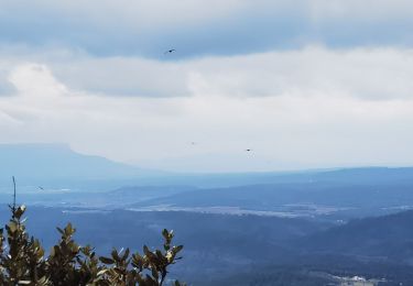 Excursión Senderismo Barjols - barjols, sur le toit du monde - Photo