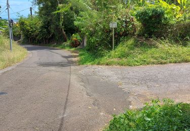 Tour Wandern Le Lorrain - Boucle Cledelin Via Carabin - Photo