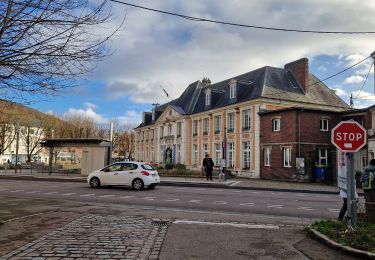 Randonnée Marche Darnétal - 20250107-darnetal  - Photo