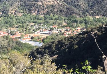 Trail Walking Arles-sur-Tech - Col de Paracols depuis Arles sur Tech - Photo