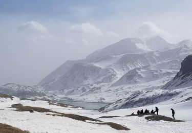 Excursión Esquí de fondo Val-Cenis - Lanslebourg- le Mont cenis - Photo