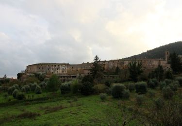 Randonnée A pied Sovicille - Borghi Fiume Merse - Photo