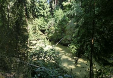 Randonnée A pied Neustadt am Kulm - Neustadt/Kulm Espanweg - Photo