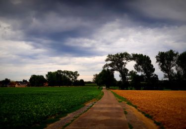 Trail Cycle Charleroi - de-ransart-a-houtin-le-valle - Photo