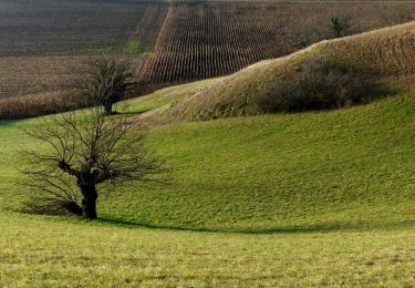 Percorso Marcia Hostun - les monts du matin - Photo
