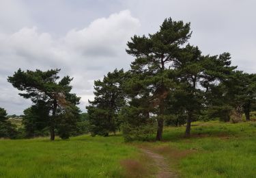 Randonnée Marche Chaudfontaine - Chaudfontaine - Ninane - Bois-les-Dames  - Photo