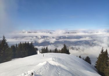 Tocht Sneeuwschoenen Crêts-en-Belledonne - 31 janvier 2020 le grand rocher - Photo