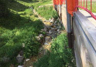 Randonnée Marche La Plagne-Tarentaise - Le col du Suchet retour les Frasses - Photo