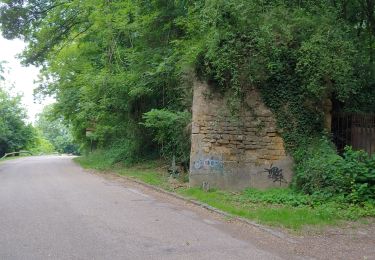 Randonnée Vélo de route Saulny - metz st quentin - Photo