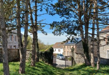 Excursión Senderismo Jemeppe-sur-Sambre - en suivant Totemus - Photo