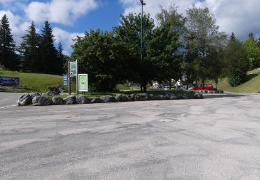 Randonnée Marche Corrençon-en-Vercors - Le Pas de la Balme - Corrençon-en-Vercors - Photo