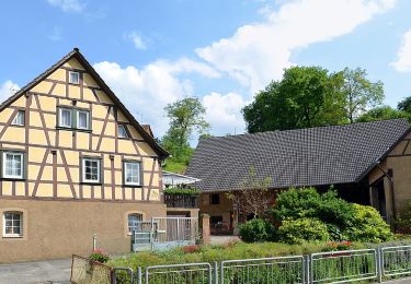 Excursión A pie Bensheim - Rundwanderweg Bensheim Bordmühle 2: Hemsberg-Weg - Photo