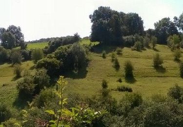 Randonnée A pied Theux - 35. Le sentier de l'Ourlaine - Photo