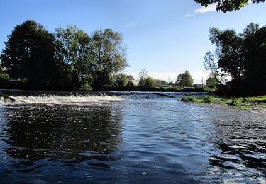 Randonnée A pied The Municipal District of Kilkenny City - Nore Valley Walk - Photo