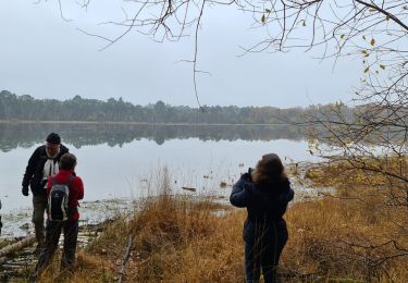 Excursión Senderismo Nouan-le-Fuzelier - Etang des Lévrys - Photo