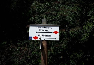 Tour Wandern Vöklingshofen - abbaye Marbach boucle par col Hasstatt - Photo