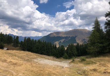 Randonnée Marche Molines-en-Queyras - Col des Prés Fromage - Photo