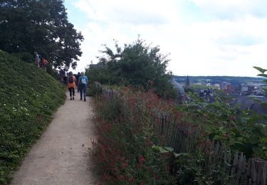 Trail Nordic walking Liège - coteaux_citadelle - Photo